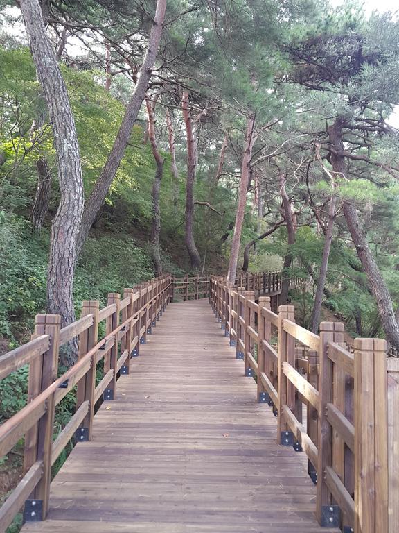 Pyeongchang River House Екстериор снимка