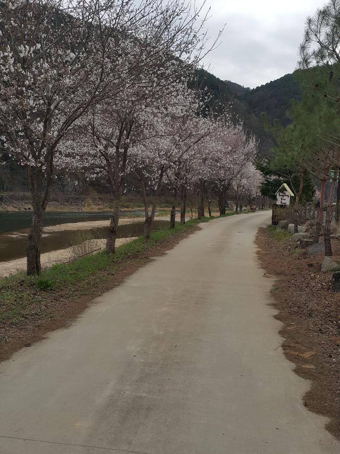 Pyeongchang River House Екстериор снимка