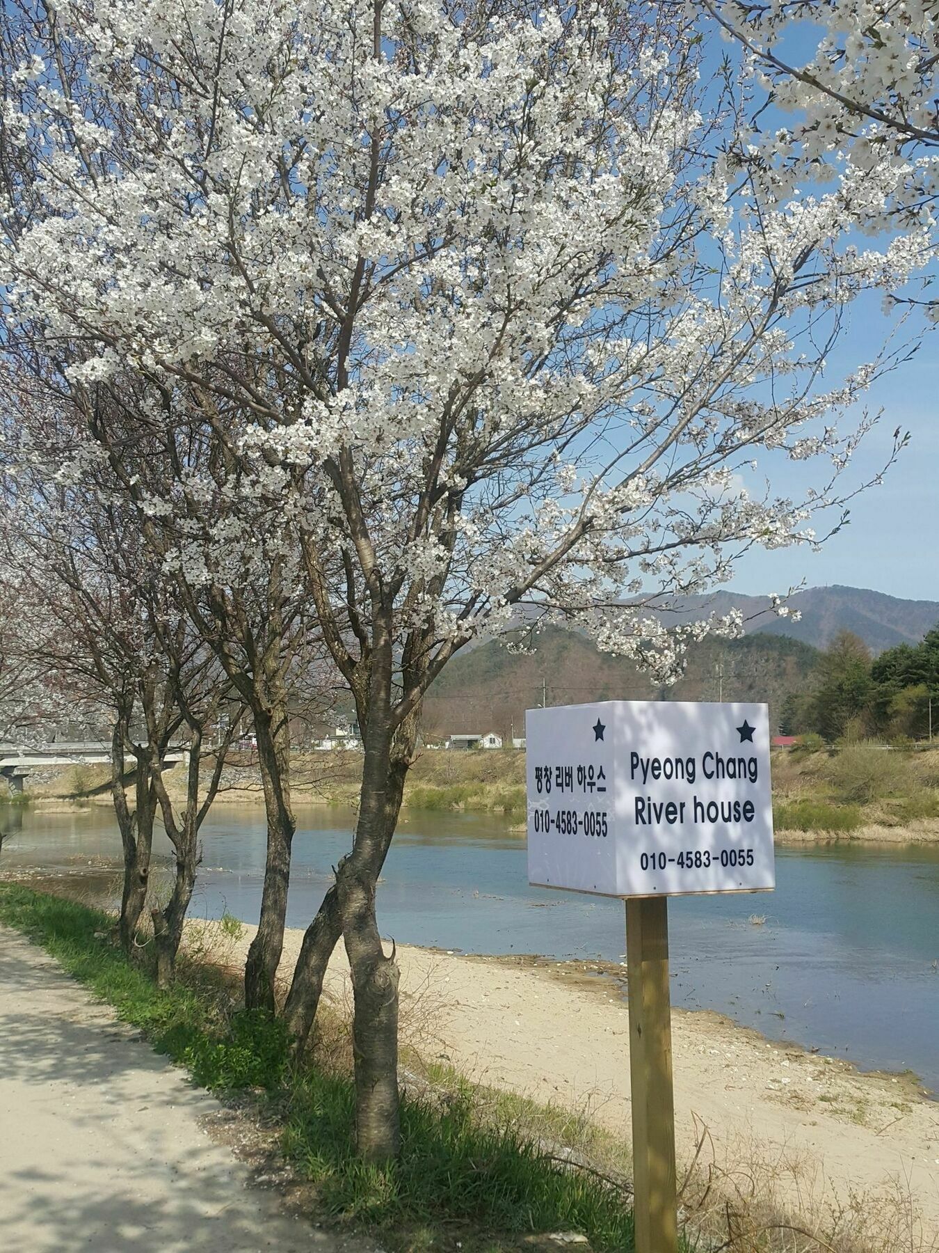 Pyeongchang River House Екстериор снимка